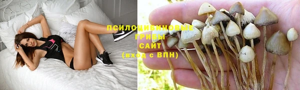 амф Беломорск