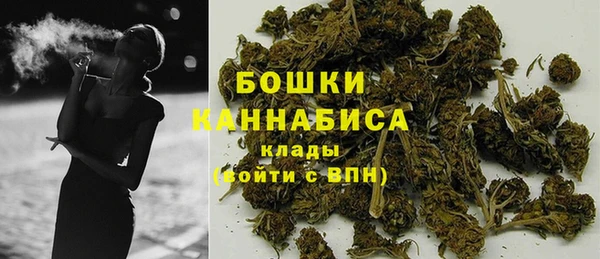 прущие крисы Белокуриха