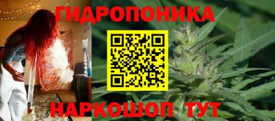 прущие крисы Беслан