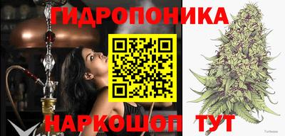 спиды Абинск
