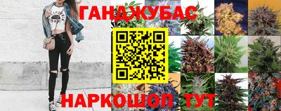 прущие крисы Беслан