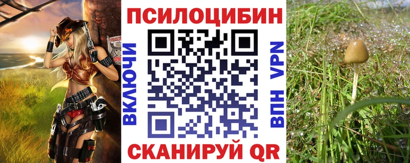 купить наркоту  гидра ССЫЛКА  Галлюциногенные грибы Cubensis  Гулькевичи 