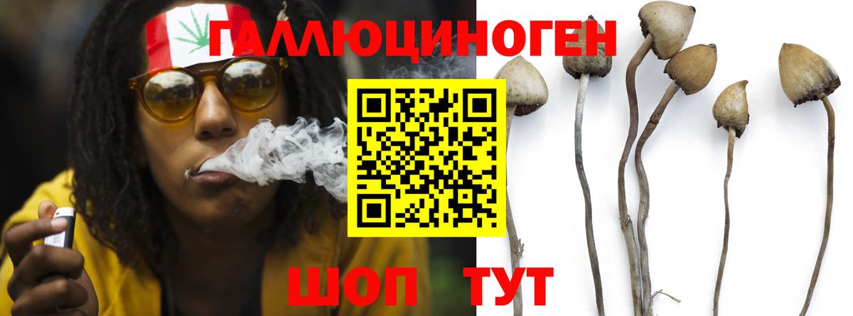 Гулькевичи  Псилоцибиновые грибы мухоморы  Вход с VPN 