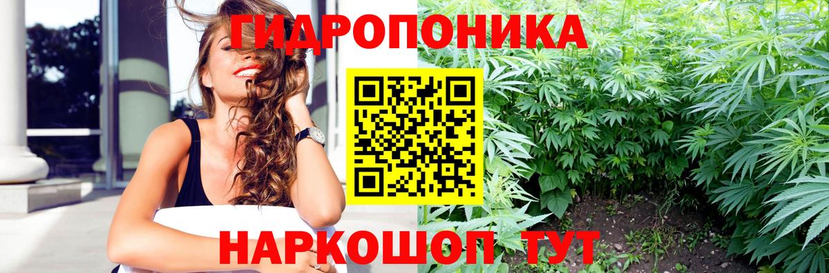 Каннабис индика Гулькевичи
